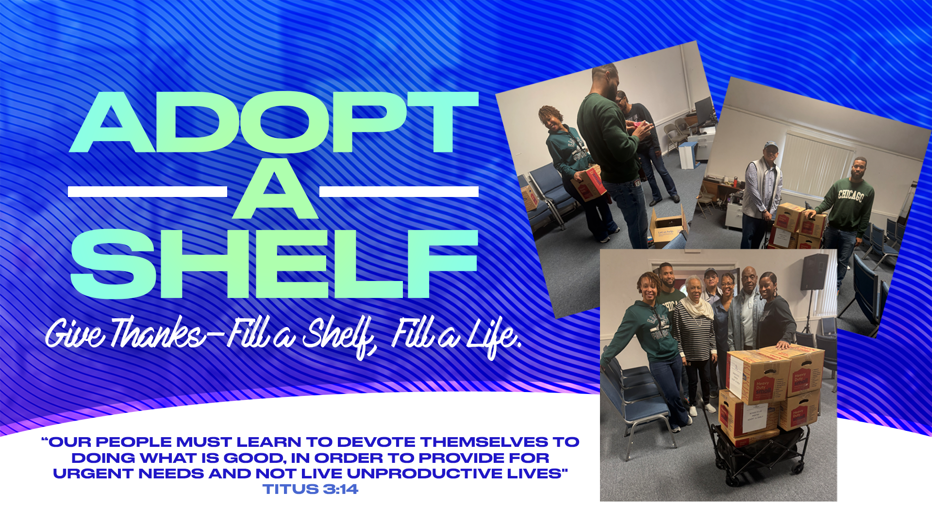 adoptshelf3